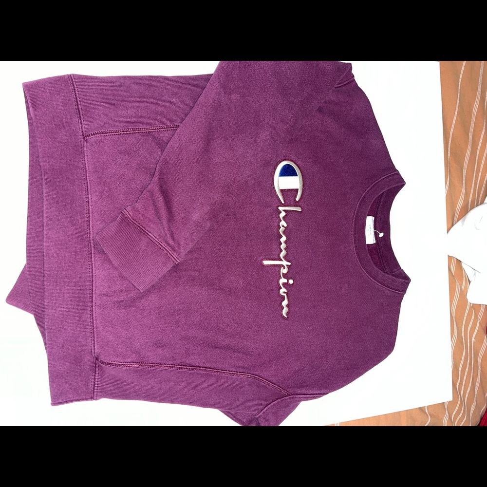 Champion sweater